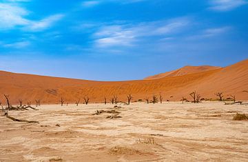 Deadvlei dans le désert du Namib, Sossusvlei, Namibie sur Patrick Groß