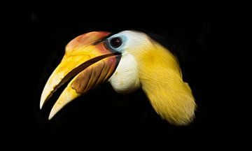 Toucan tropical graphique texture peinture à l'huile sur Foto Studio Labie