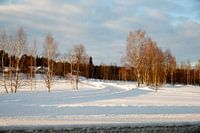 Lappland (Finnland)