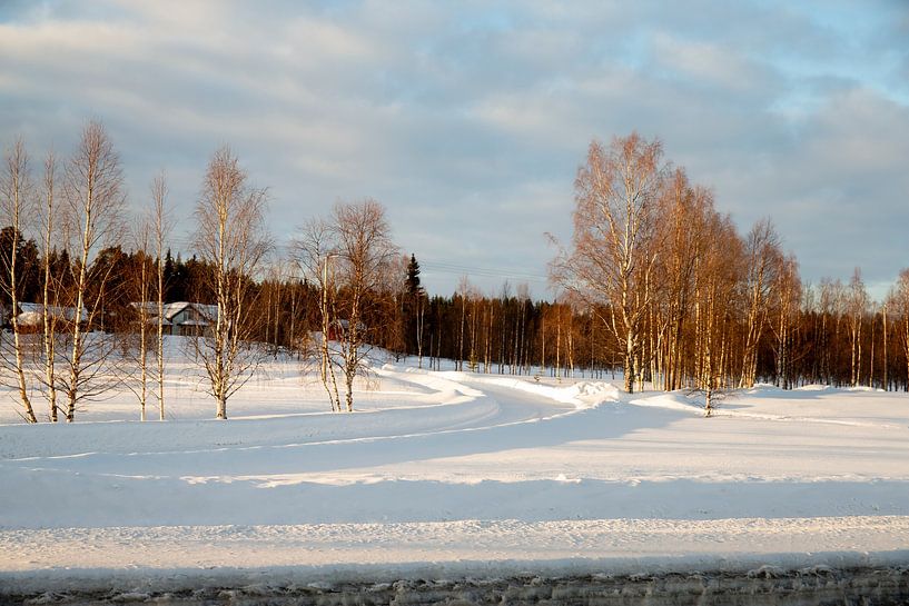 Lappland (Finnland) von Rene Verschuren