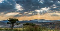African skies