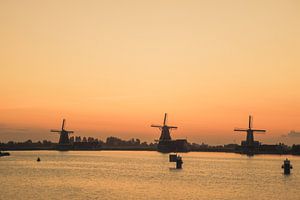 Silhouette van een drieling