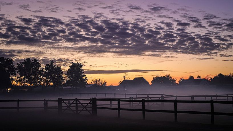 purple sky by Willeke van Vulpen