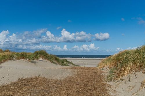 Terschelling by Annette van Dijk-Leek