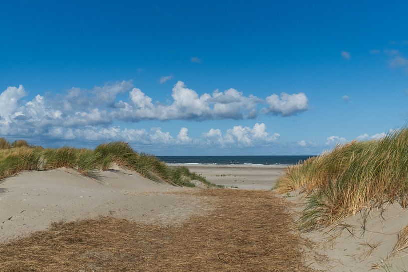 Terschelling van Annette van Dijk-Leek