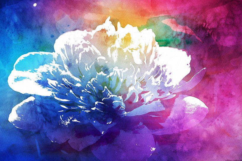 Peony Delight by Christiane Schulze