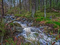Fließender Fluss unter gefallenen Ästen
