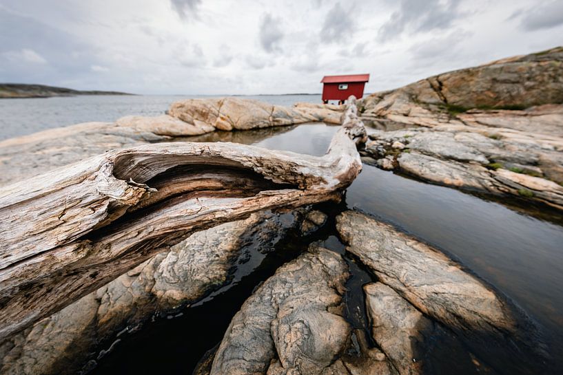 Withered tree trunk and rocks in western Sweden by Martijn Smeets