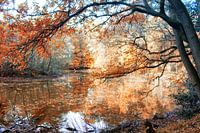 Herfst