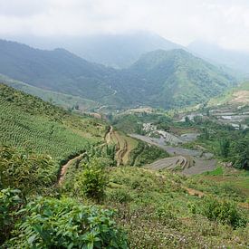 De rijstvelden in Sapa Vietnam van Lindy van Oirschot