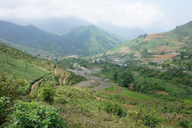De rijstvelden in Sapa Vietnam van Lindy van Oirschot