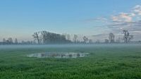 Mistig landschap in de Oude Kalevallei