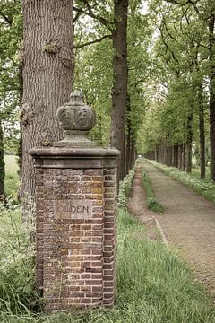 Laan op Landgoed Oldenaller te Putten met oude stenen zuil