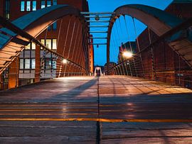 Hamburg met brug