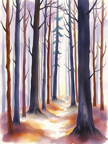 Enchanted Forest Pathway