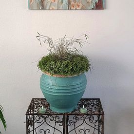 Customer photo: Magic glasses by Mirjam Duizendstra, on canvas