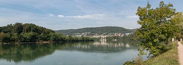 Waldshut Baden Württemberg van Richard Wareham