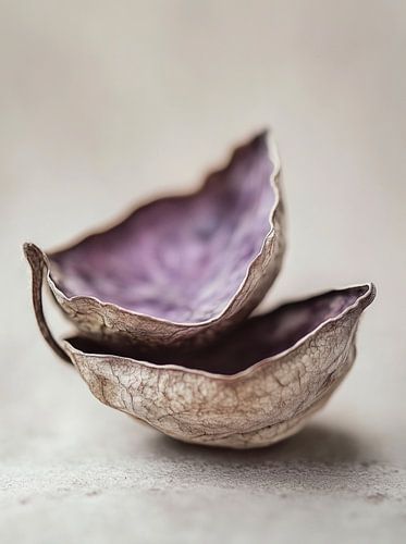 Dry Flower Detail No 16