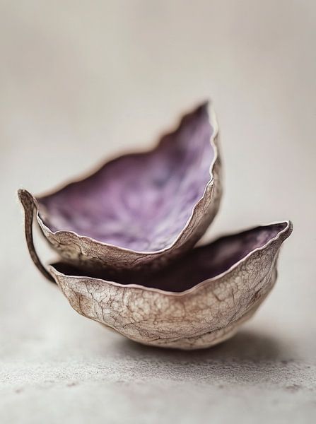 Dry Flower Detail No 16 von Treechild