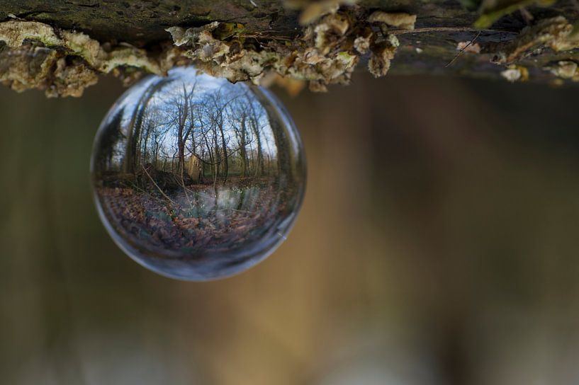 De wereld op zijn kop (park met sneeuwklokjes in een bol) van Birgitte Bergman