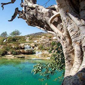Wadi Darbat, Dhofar, Oman van Jan Fritz