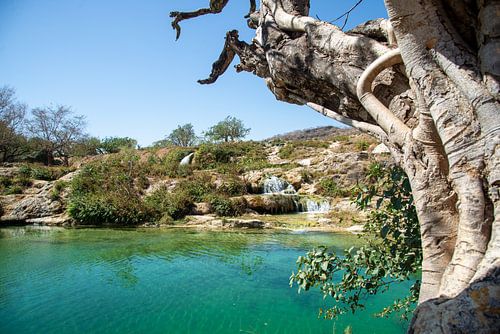 Wadi Darbat, Dhofar, Oman van Jan Fritz
