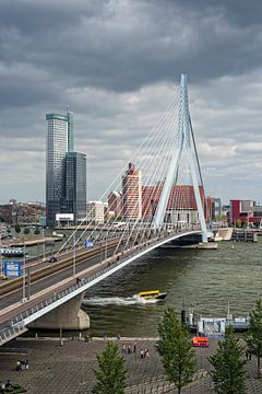 Voici Rotterdam, le pont Erasmus et Maastoren.