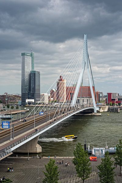 This is Rotterdam | Erasmus Bridge | Maastoren by Rob de Voogd / zzapback