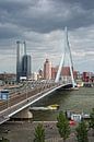 This is Rotterdam | Erasmus Bridge | Maastoren by Rob de Voogd / zzapback thumbnail