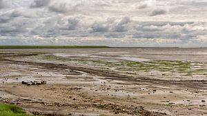 Waddendijk bij Nieuwe Sluis