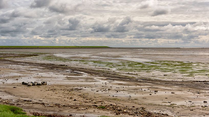 Waddendijk bij Nieuwe Sluis van Roel Ovinge