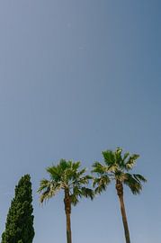 Natürliche Harmonie an der Algarve von Mélanie Roelandts