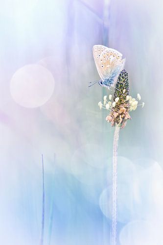  A way of understanding