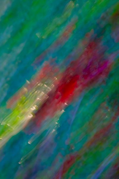 Colours of spring by Thomas Jäger