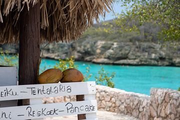 Tropical beach vibes bij Kleine Knip strand Curaçao van Saphira van Zoeren