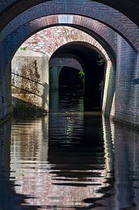 Binnendieze 's-Hertogenbosch