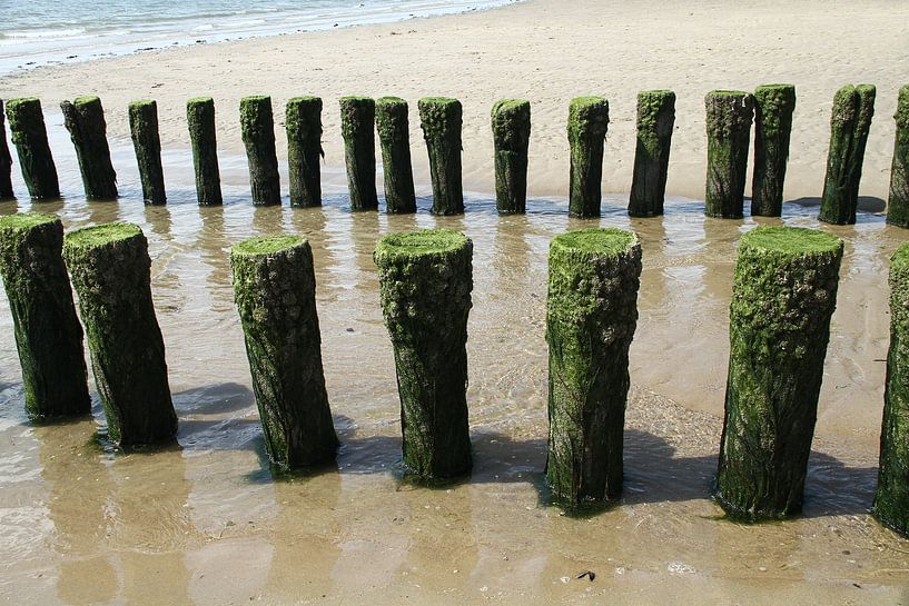 Golfbrekers op het strand van Zoutelande par Abra van Vossen