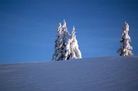 Een winterlandschap in de blauwe koude lucht