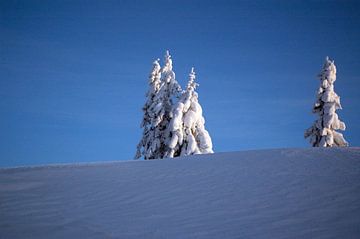 Een winterlandschap in de blauwe koude lucht