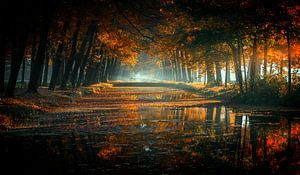 Autumn Morning