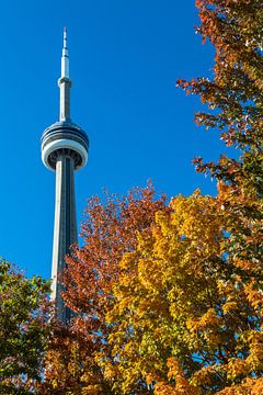 Indian Summer in Toronto van Peter Leenen