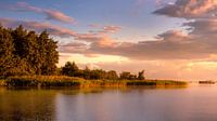 A morning at the Zuidlaardermeer by Marga Vroom thumbnail