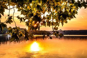 Herbst Laub über schönem Baldeneysee in Essen bei Sonnenuntergang