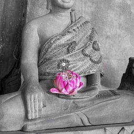 Lotusbloesem in het licht van de eeuwigheid van Walter G. Allgöwer