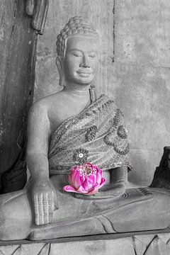 Fleur de lotus dans la lumière de l'éternité sur Walter G. Allgöwer