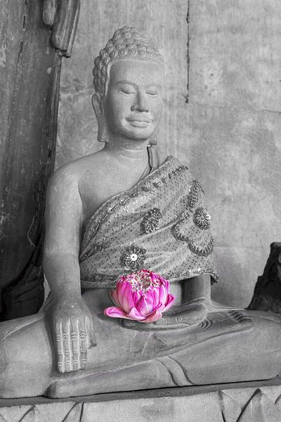 Fleur de lotus dans la lumière de l'éternité par Walter G. Allgöwer