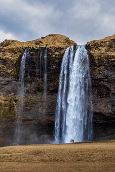 Strength and futility at Seljalandsfoss in Iceland