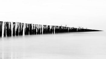 Nordsee - Wellenbrecher mit Möwen