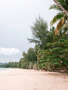 Thailand khao lak reisfotografie  witte strand met palmbomen van Lindy Schenk-Smit