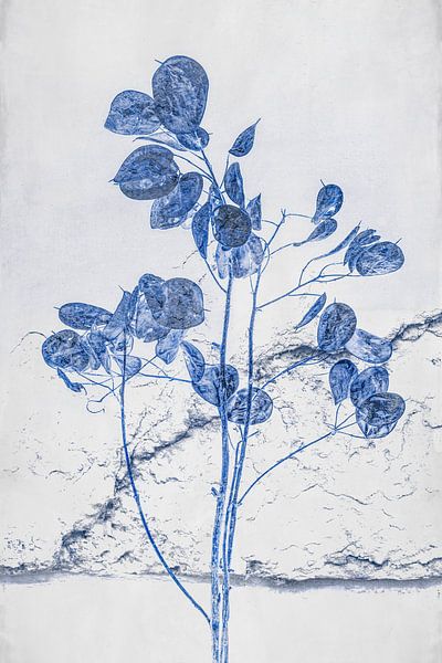 Delft blue. Judas medal. Dry flowers. by Alie Ekkelenkamp